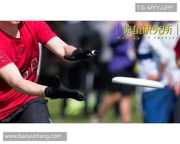 足球明星背后的秘密财经黑幕与偷漏税的真相揭秘